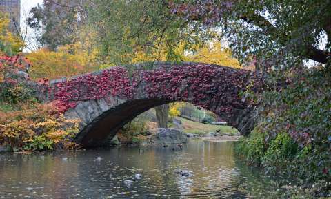 Vé máy bay từ TP.HCM đi New York giá rẻ