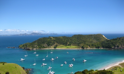 Vé máy bay đi New Zealand bao nhiêu