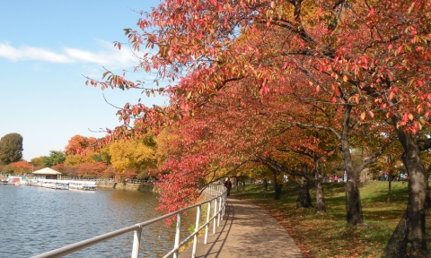 Vé máy bay từ Hà Nội đi Washington