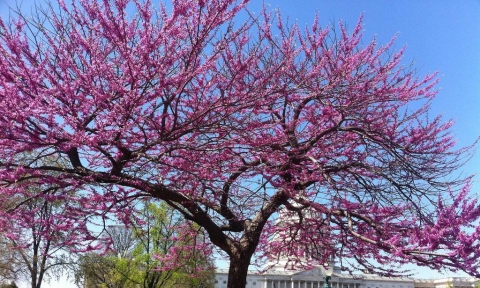 Vé máy bay từ Mỹ đi Việt Nam