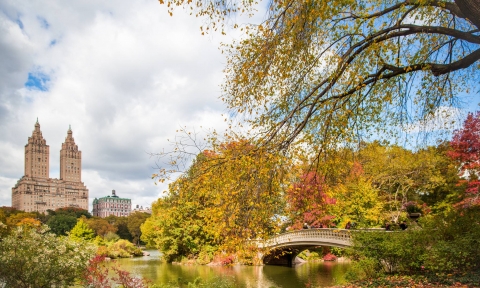 Vé máy bay quốc tế đi Mỹ