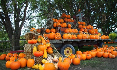 Vé máy bay đi Canada ngày Halloween