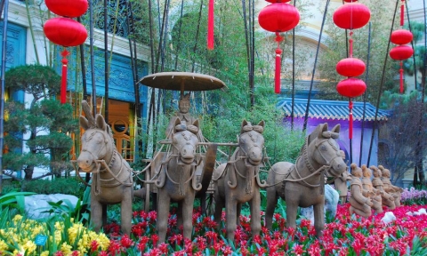 Mua vé máy bay Tết đi Las Vegas