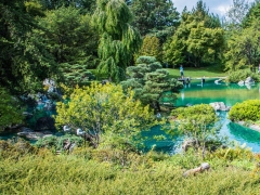 Vé máy bay đi Montreal EVA Air