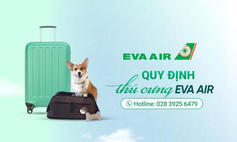 Quy định vận chuyển thú cưng Eva Air bạn nên biết