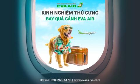 Tất tần tật kinh nghiệm thú cưng bay quá cảnh EVA Air từ a-z