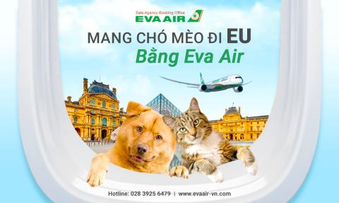 Mang Chó Mèo Đi EU Bằng EVA Air: Giấy tờ và ký gửi an toàn