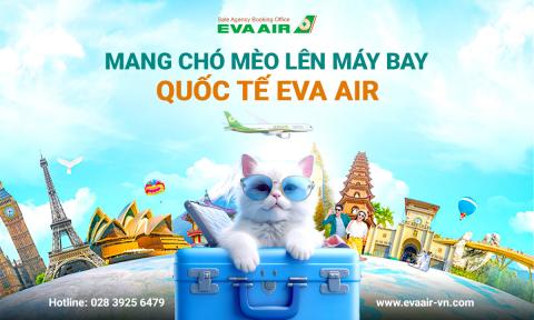 Mang chó mèo lên máy bay quốc tế EVA Air - Hướng dẫn chi tiết