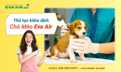 Thủ tục kiểm dịch chó mèo EVA Air: xuất cảnh, quá cảnh