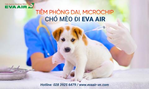 Tiêm phòng dại, Microchip chó mèo bay EVA Air trước bao lâu?