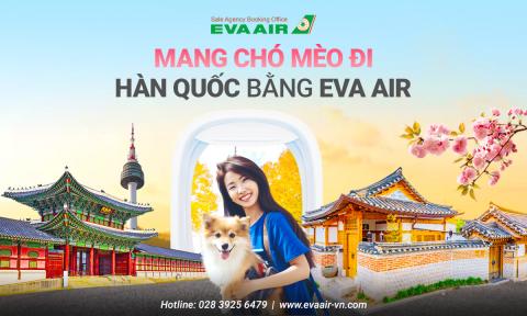 Mang chó mèo đi Hàn Quốc bằng EVA Air: Quy định và lưu ý mới