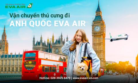 Thủ tục vận chuyển thú cưng đi Anh Quốc EVA Air an toàn