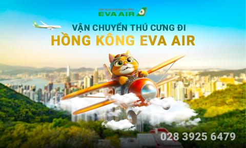Dịch vụ vận chuyển thú cưng đi Hong Kong bằng EVA Air an toàn