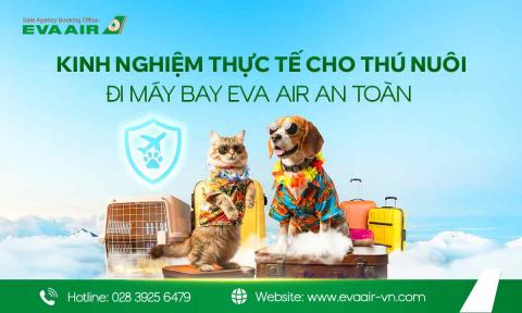 Kinh Nghiệm Thực Tế Cho Thú Nuôi Đi Máy Bay EVA Air An Toàn