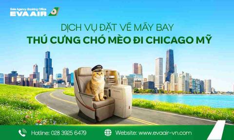 Dịch vụ đặt vé máy bay thú cưng chó mèo đi Chicago Mỹ EVA Air