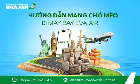 Hướng dẫn mang chó mèo đi máy bay EVA Air chi tiết