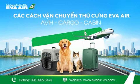 Các Cách Vận Chuyển Thú Cưng EVA Air: AVIH, Cargo, Cabin