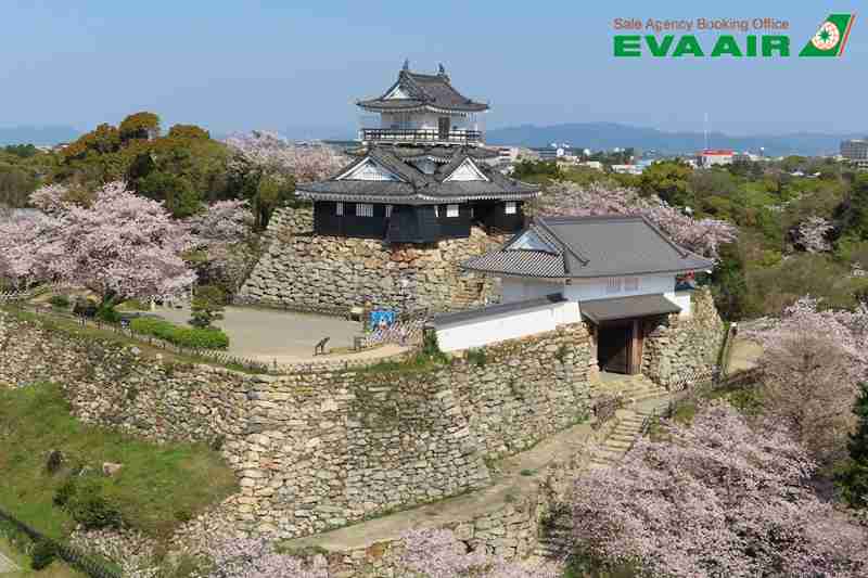 lau-dai-hamamatsu-nhat-ban