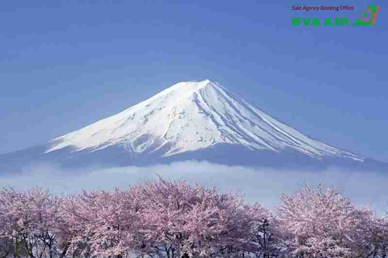 nâng hạng vé EVA Air đi Nhật Bản, nâng hạng ghế EVA Air đi Nhật Bản, nâng cấp hạng ghế EVA Air đi Nhật Bản, nâng cấp vé EVA Air đi Nhật Bản, upgrade vé EVA Air Nhật Bản, nâng hạng EVA Air đi Nhật Bản,  Upgrade hạng ghế EVA Air đi Nhật Bản