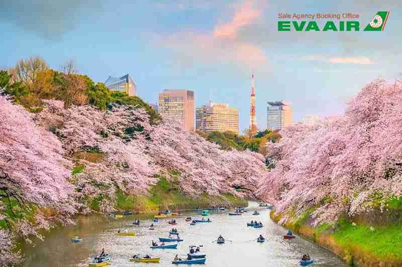 Du lịch Nhật Bản mùa hoa anh đào