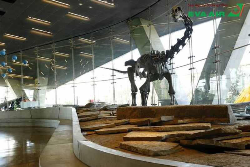 vé máy bay từ Đà Nẵng đi Dallas