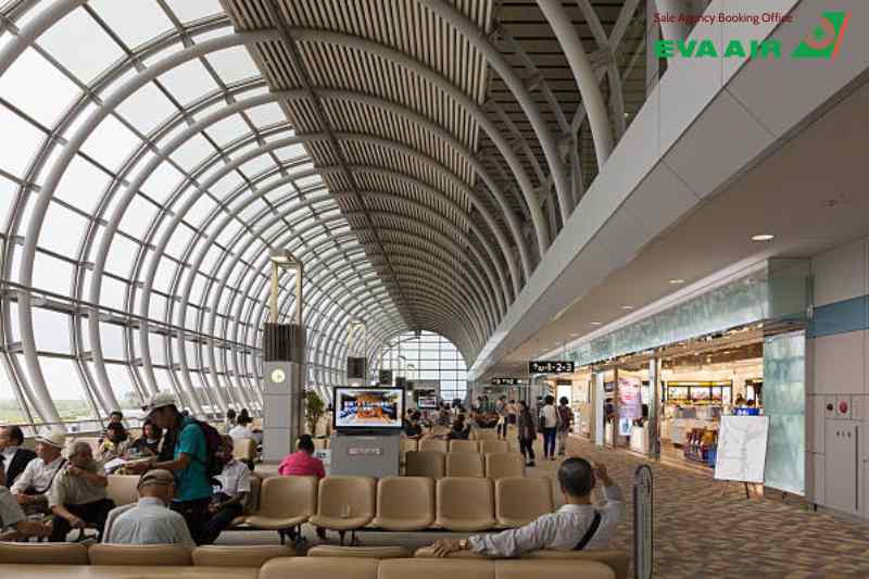 ve-may-bay-di-sendai