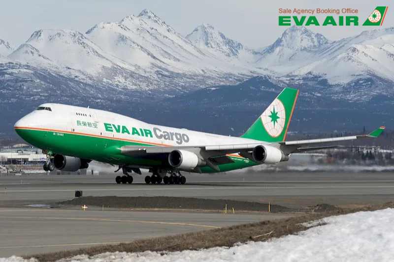 gia-ve-may-bay-di-new-york-mua-world-cup