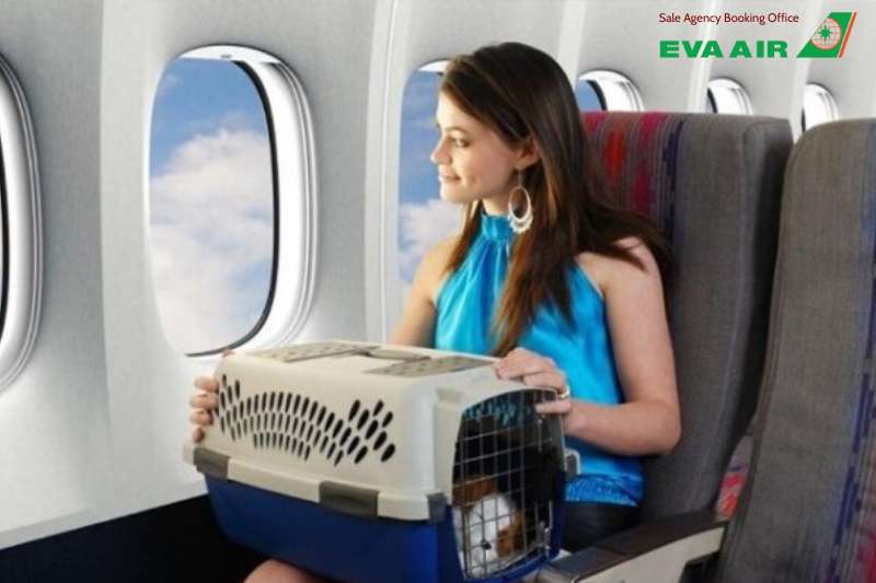 mang thú cưng lên máy bay eva air, chó mèo đi máy bay EVA Air, vận chuyển thú cưng bằng máy bay EVA Air, thú cưng đi máy bay eva air, ký gửi thú cưng eva air, phí vận chuyển thú cưng eva air, lồng vận chuyển thú cưng eva air, vận chuyển chó mèo EVA Air