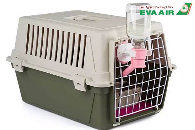 thú cưng bị từ chối bay EVA Air, chó mèo bị từ chối bay EVA Air, vật nuôi bị từ chối bay EVA Air, chó mèo bị từ chối kiểm dịch EVA Air, thú cưng bị từ chối vận chuyển EVA Air, EVA Air từ chối vận chuyển chó mèo, Thú cưng không được bay EVA Air
