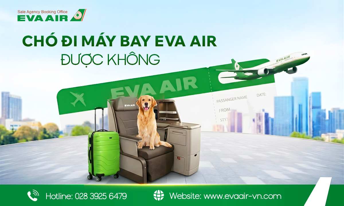 chó đi máy bay eva air, mang chó lên máy bay EVA Air, vận chuyển chó EVA Air, ký gửi chó EVA Air, vận chuyển chó bằng hành lý ký gửi, vận chuyển chó hàng hóa, Ký gửi gửi thú cưng EVA Air, chó đi máy bay quốc tế EVA Air