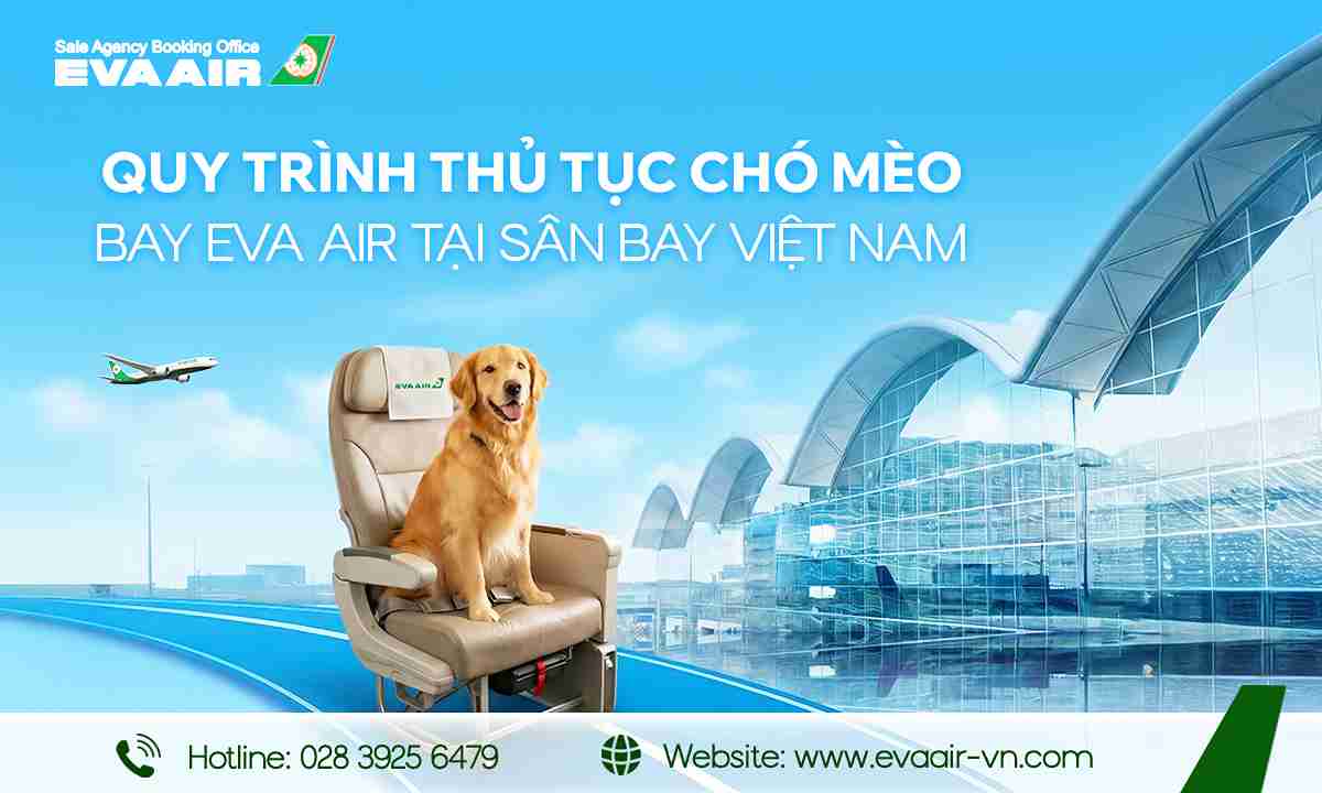 thủ tục chó mèo bay EVA Air tại sân bay Việt Nam,bay quốc tế cùng chó mèo EVA Air, thủ tục hải quan cho chó mèo bay EVA Air, thú cưng đi máy bay EVA Air, thủ tục chó mèo bay EVA Air tại Tân Sơn Nhất, thủ tục chó mèo bay EVA Air tại Nội Bài.
