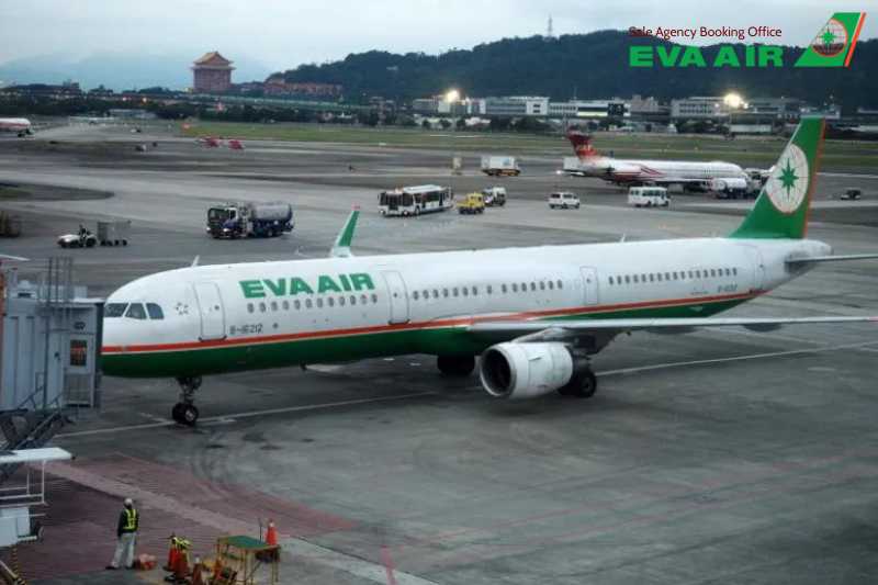 vận chuyển thú cưng đi Anh Quốc EVA Air, Thủ tục vận chuyển thú cưng đi Anh Quốc EVA Air, vé máy bay thú cưng chó mèo đi Anh EVA Air, vận chuyển chó mèo đi Anh EVA Air, mang chó mèo đi Anh EVA Air, Chó mèo đi máy bay EVA Air, vé chó mèo đi Anh EVA Air