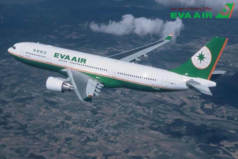 vé máy bay thú cưng chó mèo đi New York EVA Air, hủ tục mang chó mèo đi New york EVA Air, vé thú cưng đi New York EVA Air, ký gửi chó mèo đi New York EVA Air, chó mèo đi Mỹ EVA Air, vé chó mèo đi New York EVA Air, mang thú cưng đến New York EVA Air