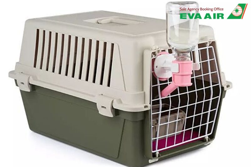 mang thú cưng lên máy bay quốc tế EVA Air, mang chó mèo lên máy bay quốc tế eva air, vận chuyển thú cưng quốc tế eva air, vận chuyển chó mèo quốc tế eva air, chó mèo bay quốc tế eva air, thú cưng bay quốc tế eva air, thú cưng đi máy bay EVA Air