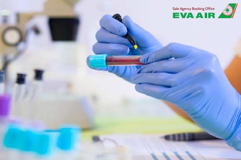 xét nghiệm bệnh dại cho thú cưng bay EVA Air, xét nghiệm kháng thể Dại RFFIT, thú cưng đi máy bay EVA Air, chó mèo đi máy bay EVA Air, xét nghiệm bệnh dại,xét nghiệm RFFIT chó mèo EVA Air, xét nghiệm bệnh dại cho vật nuôi bay EVA Air