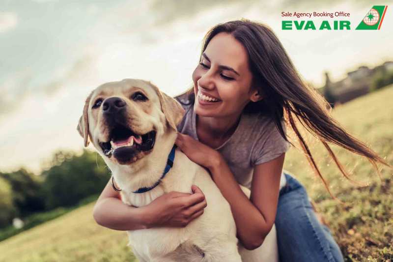 Chó Hỗ Trợ Cảm Xúc EVA Air, Chó Hỗ Trợ Cảm Xúc đi máy bay EVA Air, Giấy tờ chó hỗ trợ cảm xúc EVA air, Thủ tục chó hỗ trợ cảm xúc EVA Air, Lồng ký gửi chó hỗ trợ cảm xúc EVA Air, chó hỗ trợ cảm xúc bay quốc tế EVA Air, vận chuyển chó hỗ trợ cảm xúc EVA Air