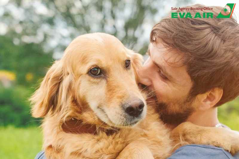 Chó Hỗ Trợ Cảm Xúc EVA Air, Chó Hỗ Trợ Cảm Xúc đi máy bay EVA Air, Giấy tờ chó hỗ trợ cảm xúc EVA air, Thủ tục chó hỗ trợ cảm xúc EVA Air, Lồng ký gửi chó hỗ trợ cảm xúc EVA Air, chó hỗ trợ cảm xúc bay quốc tế EVA Air, vận chuyển chó hỗ trợ cảm xúc EVA Air