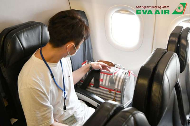 thú cưng trong khoang hàng hóa EVA Air, vận chuyển thú cưng EVA Air, gửi chó mèo ký gửi EVA Air,  ký gửi thú cưng EVA Air trong khoang cargo, Chó mèo trong khoang hàng hóa EVA Air, khoang hàng hóa vận chuyển thú cưng EVA Air