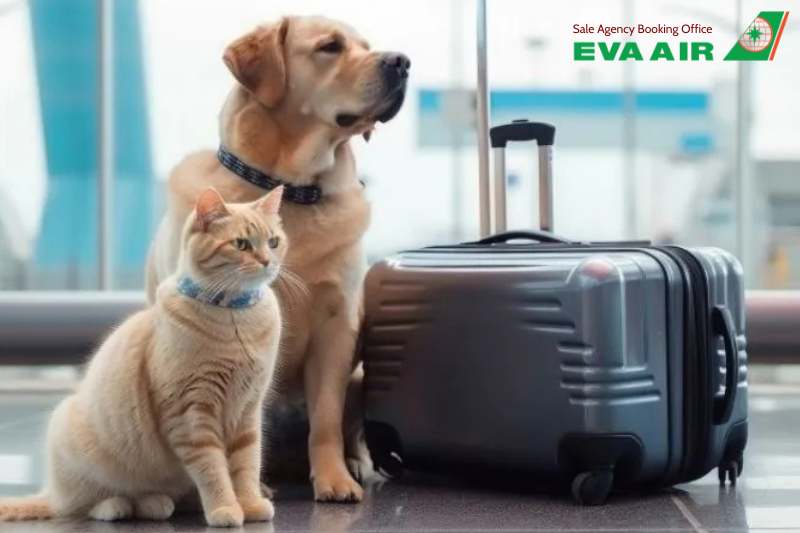 vé máy bay thú cưng chó mèo đi Atlanta Mỹ EVA Air, vận chuyển chó mèo đi Atlanta EVA Air, vé thú cưng đi Atlanta Mỹ EVA Air, vé máy bay chó mèo đi Atlanta Mỹ EVA Air, Vé chó mèo đi Atlanta Mỹ EVA Air,  thú cưng đi Atlanta bằng EVA Air