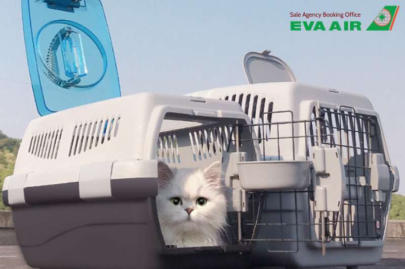 vé máy bay thú cưng chó mèo đi Austin Mỹ EVA Air, vận chuyển thú cưng đi Austin EVA Air, vé thú cưng đi Austin Mỹ EVA Air, mang thú cưng đi Austin EVA Air, Thú cưng đi máy bay EVA Air đến Austin, vé chó mèo đi Austin Mỹ EVA Air