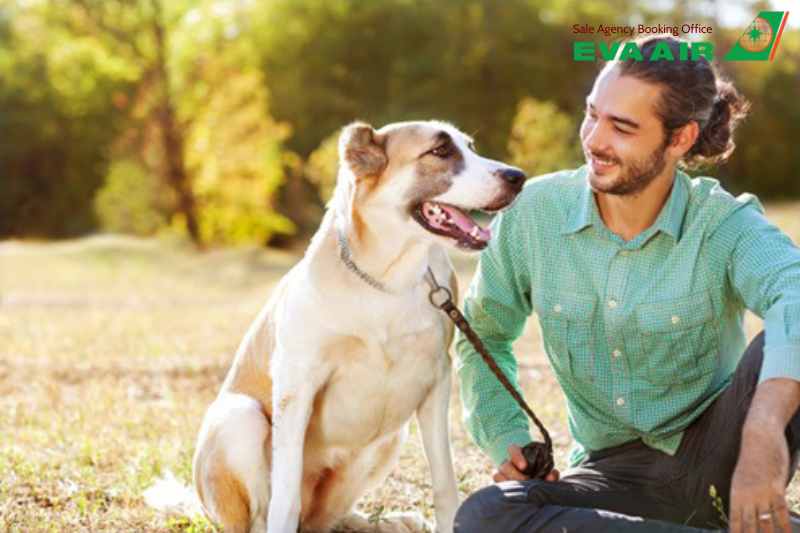 vé máy bay thú cưng chó mèo đi Boise Mỹ EVA Air, vận chuyển thú cưng đi Boise Mỹ EVA Air, vé thú cưng đi Boise Mỹ EVA Air, Vé máy bay chó mèo đi Boise Mỹ EVA Air, thú cưng đi máy bay EVA Air đến Boise, đưa chó mèo đi Mỹ EVA Air, chó mèo đi Idaho Mỹ EVA Air