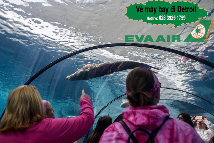 Vé máy bay đi Detroit với giá rẻ