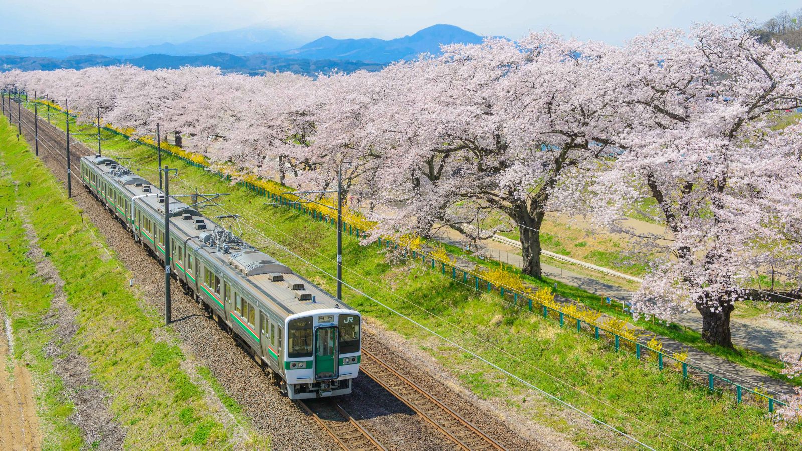 Thông tin về hành trình bay từ Đà Nẵng đi Sendai
