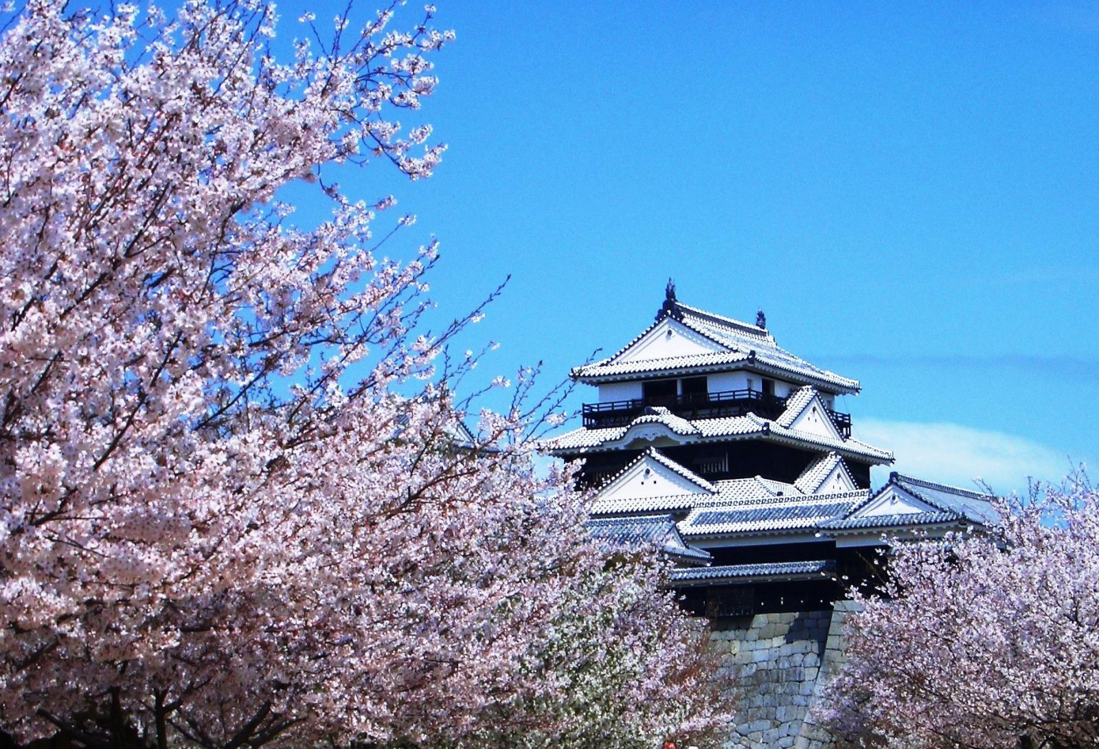 Lâu đài Matsuyama