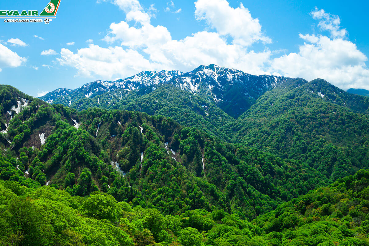 Dãy núi Shirakami-Sanchi