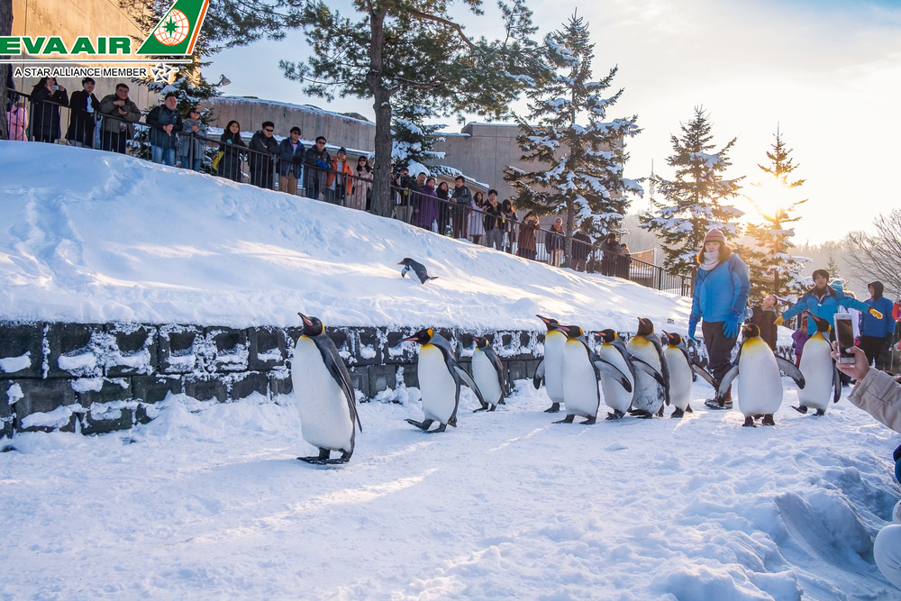 vườn thú Asahiyama