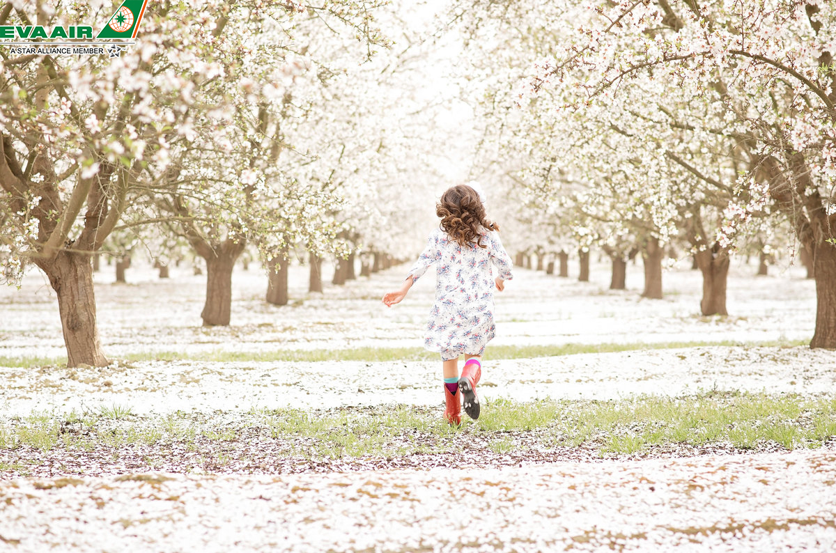 Cây hoa trên Đường mòn hoa Fresno