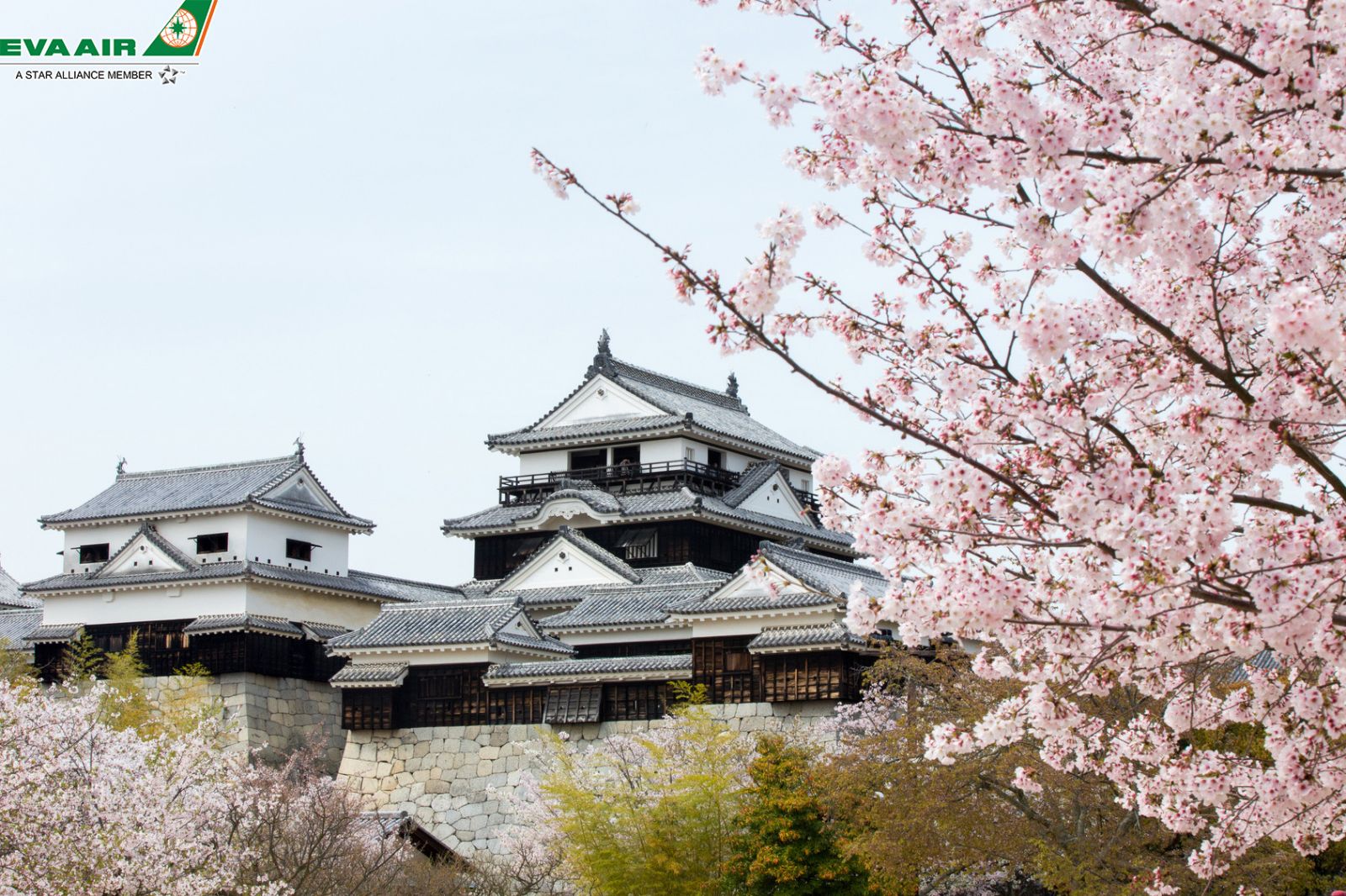 Lâu đài Matsuyama