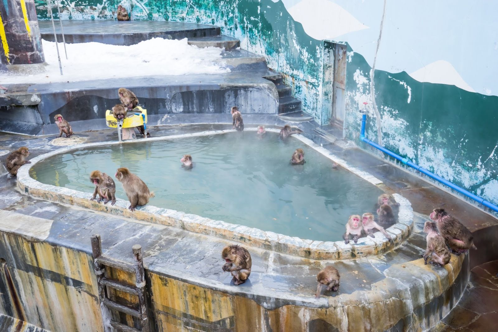 Vườn bách thảo nhiệt đới Hakodate