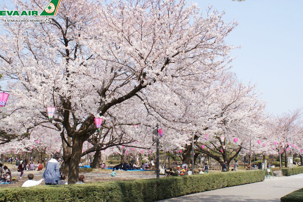 Rojo Park – Công viên du lịch ở Komatsu